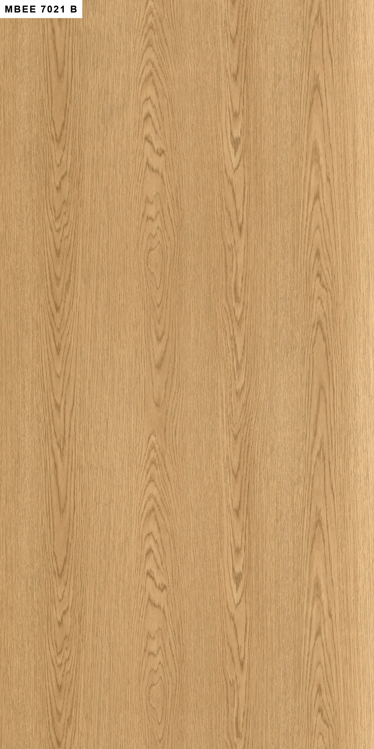 Lino Oak