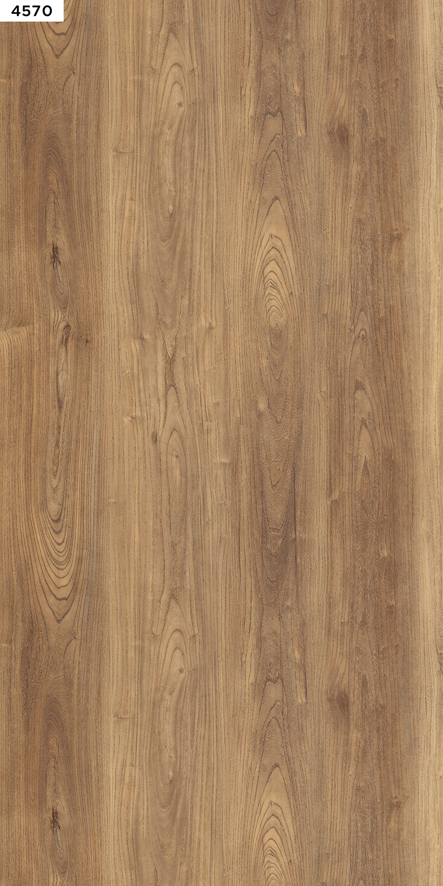 Belgian Oak