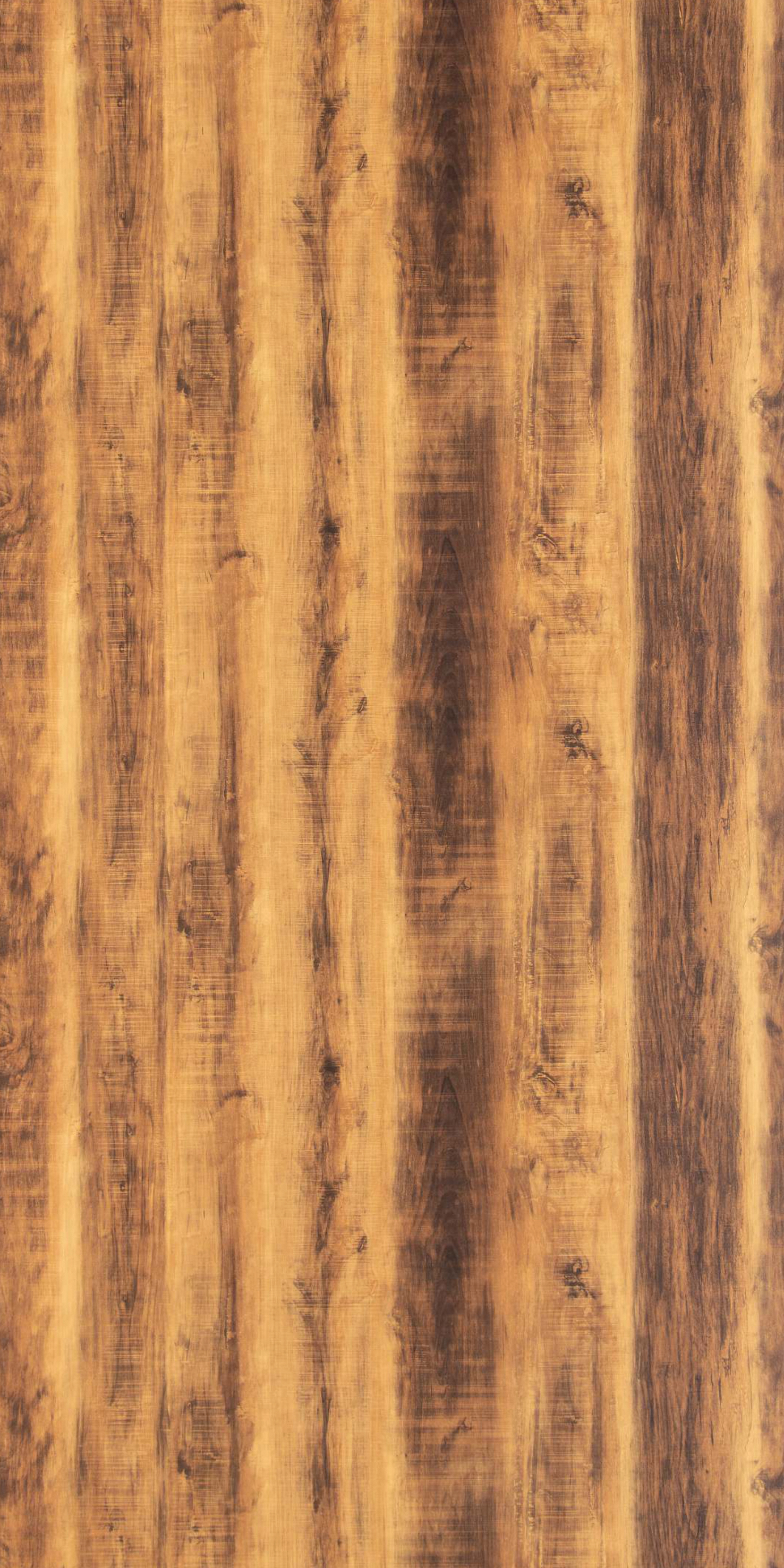 Pacific Walnut
