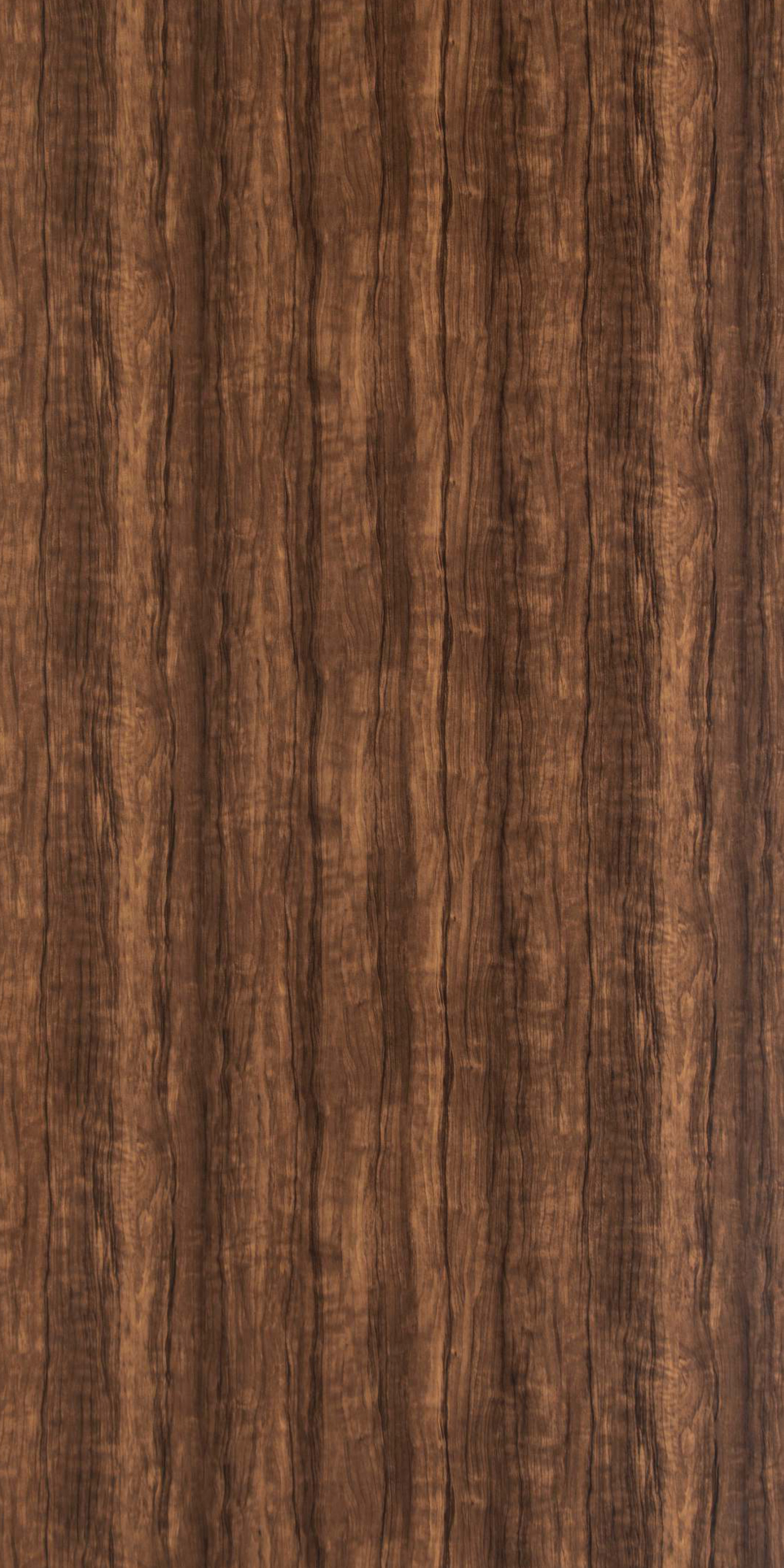 Atlantic Walnut