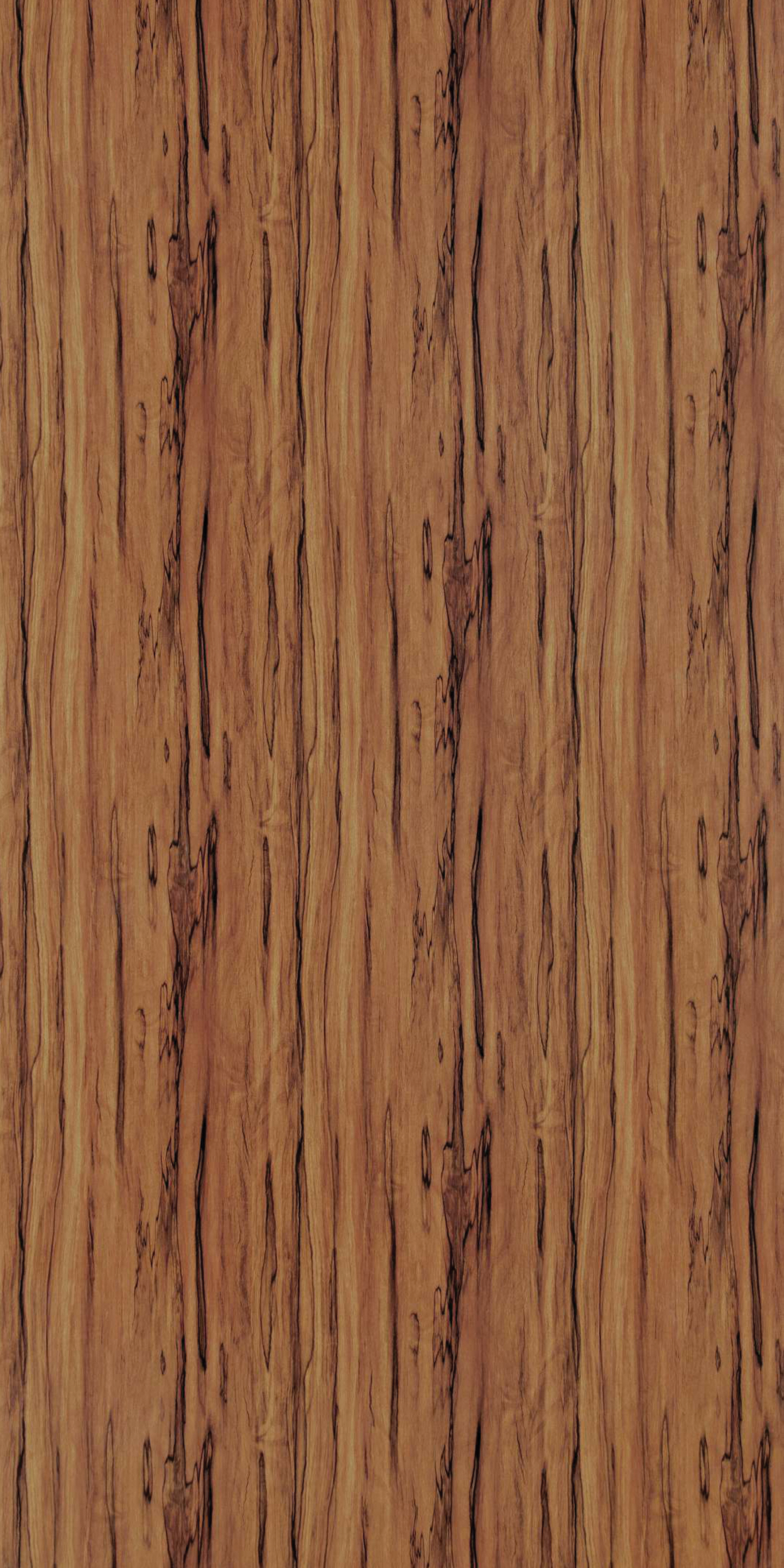 Bright Zebra Wood
