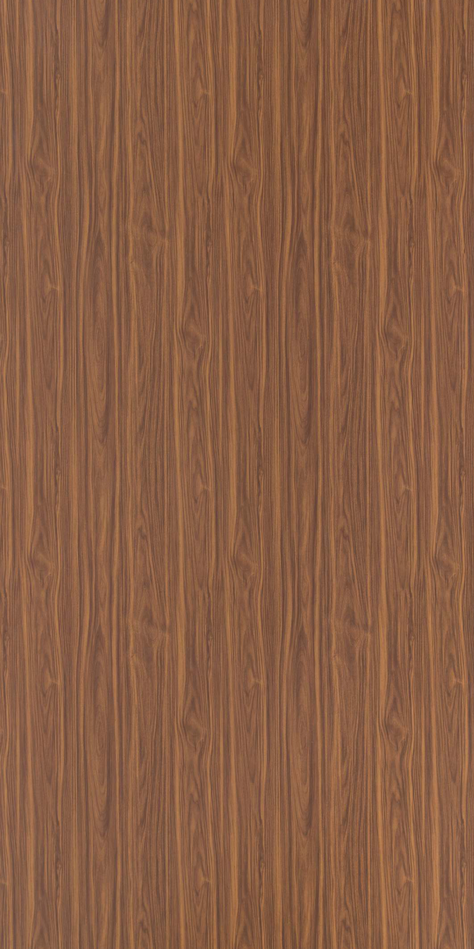 American Walnut