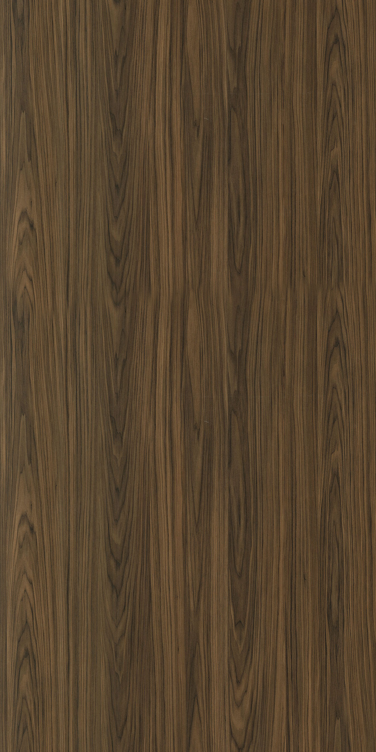 PANEL TEAK