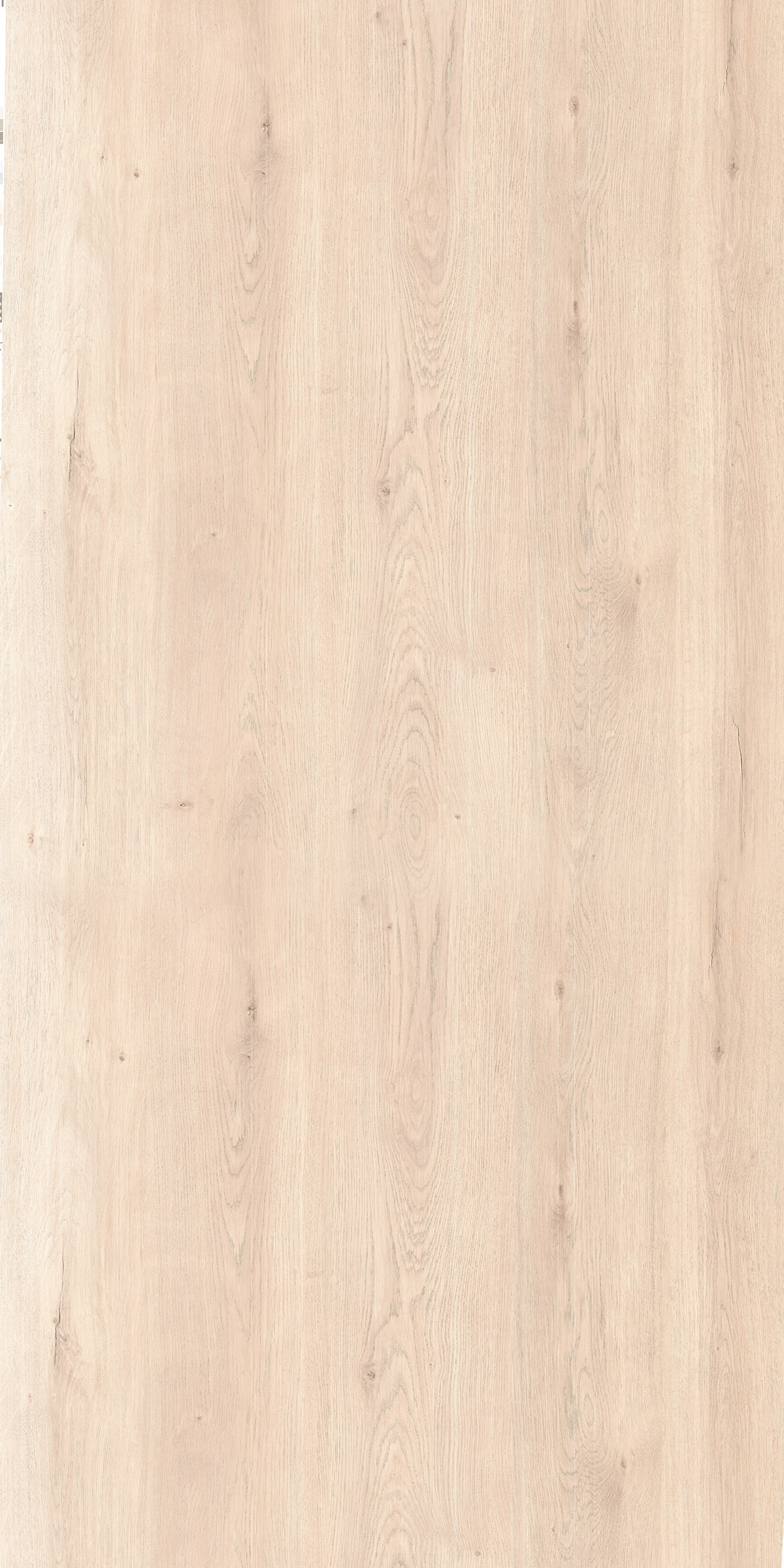 CHESTNUT