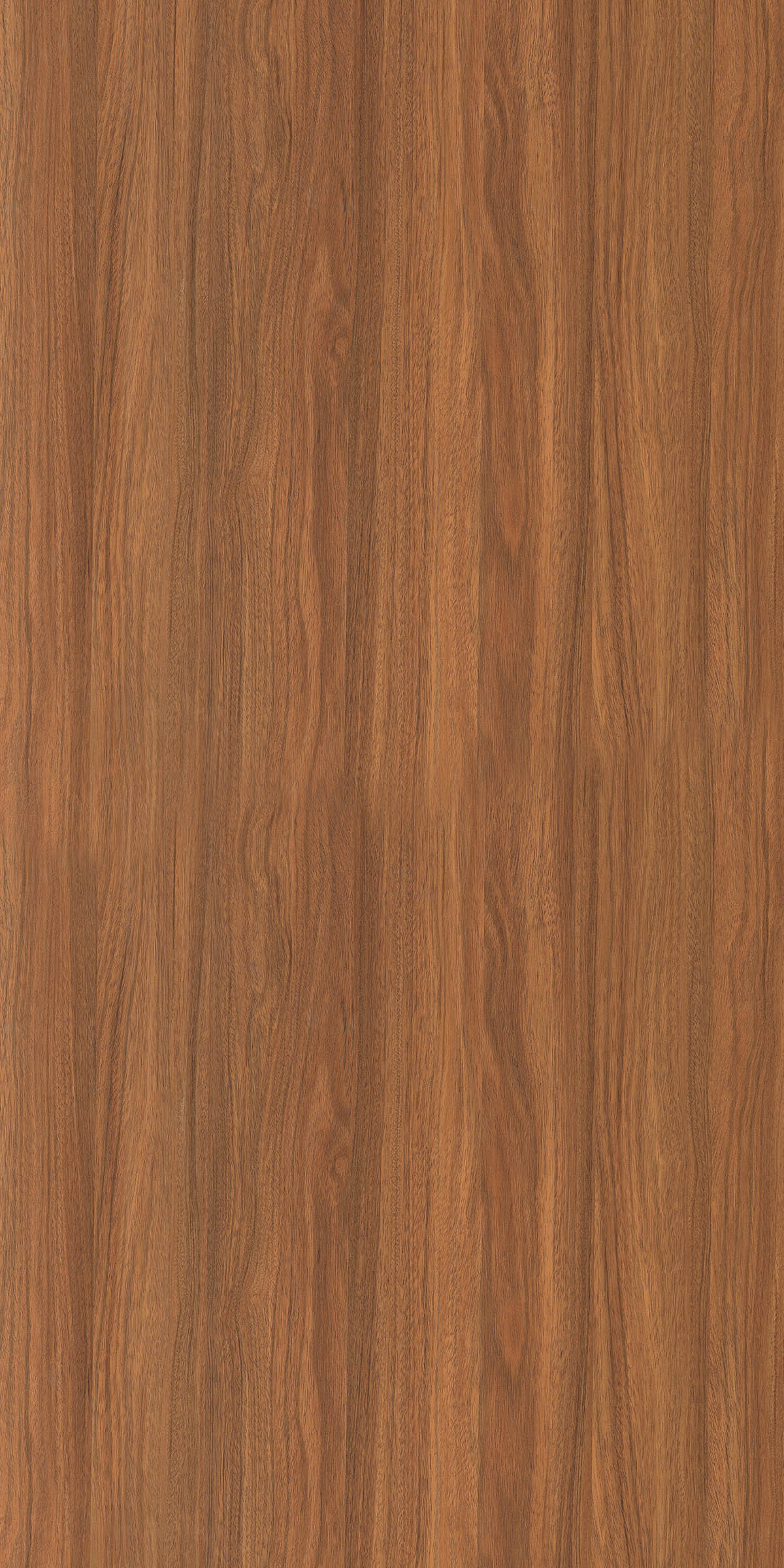 PARIS WOOD