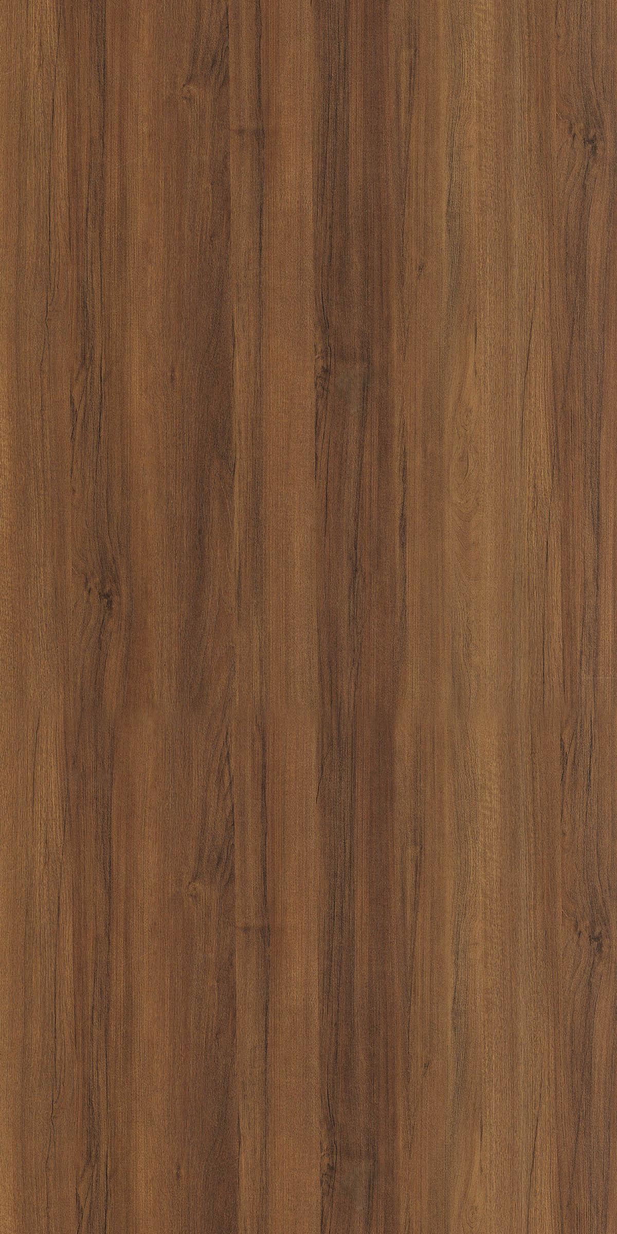 TEAK GRANDEUR