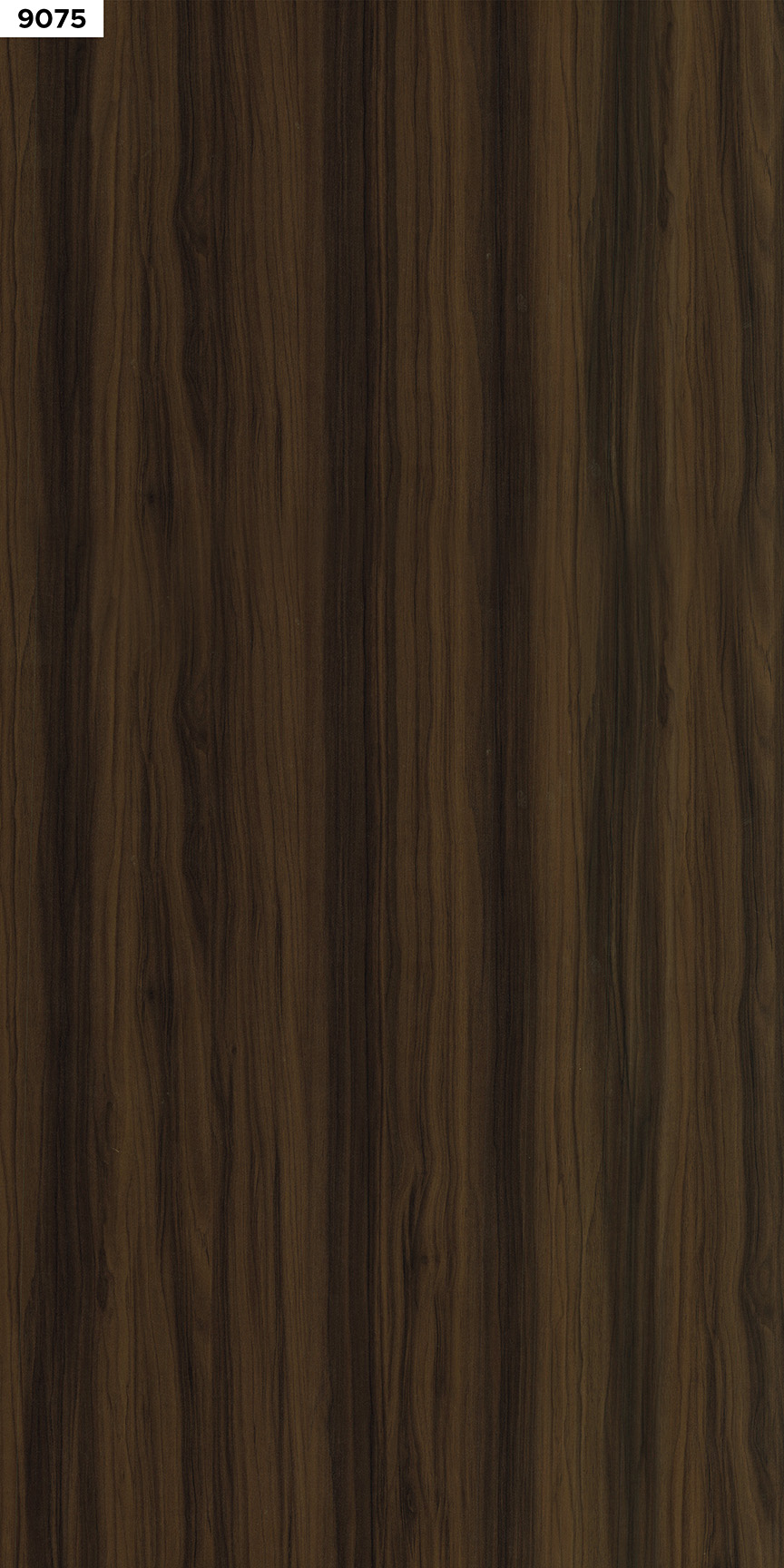 MAPLE
