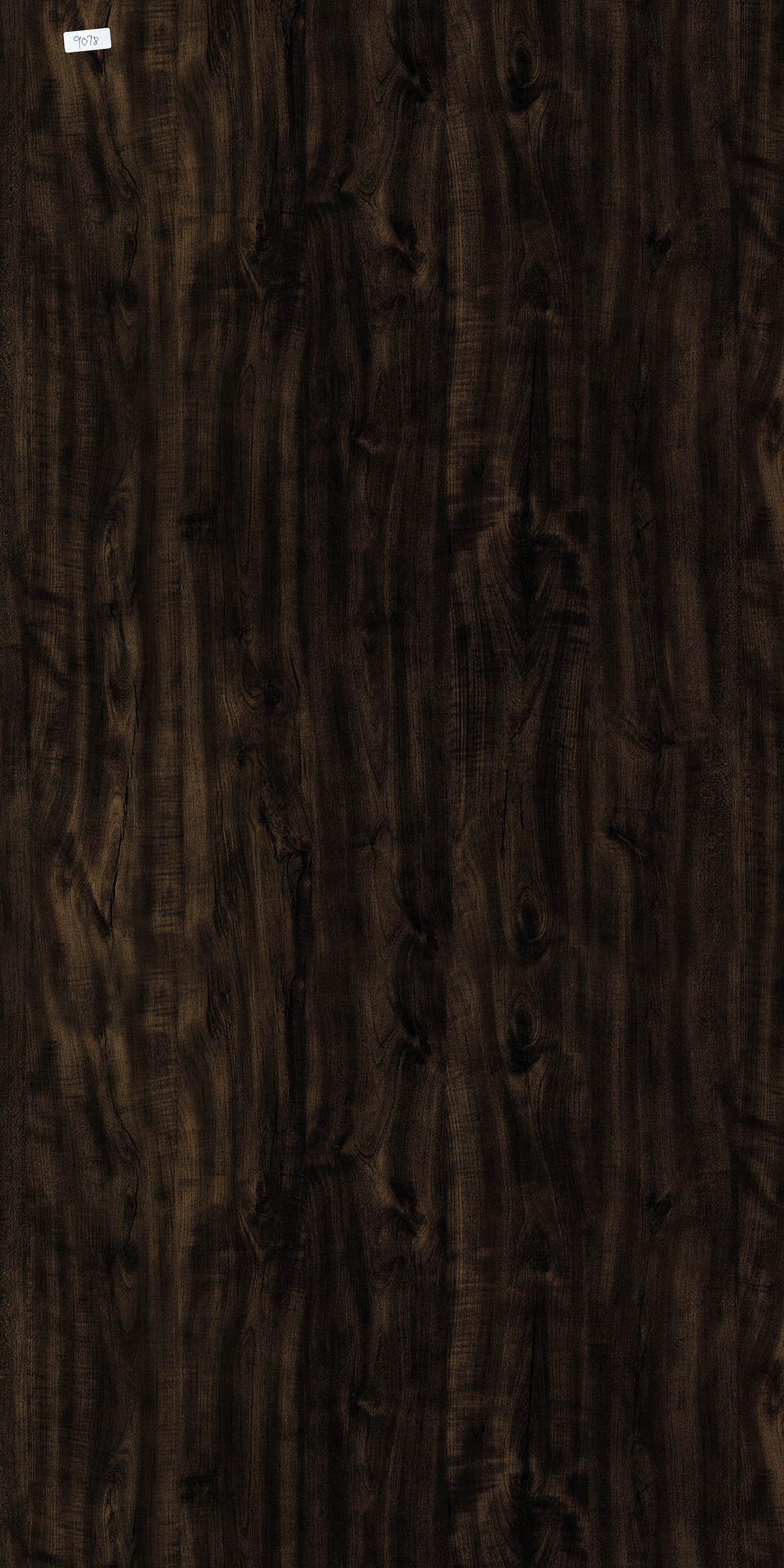 RIGA WALNUT