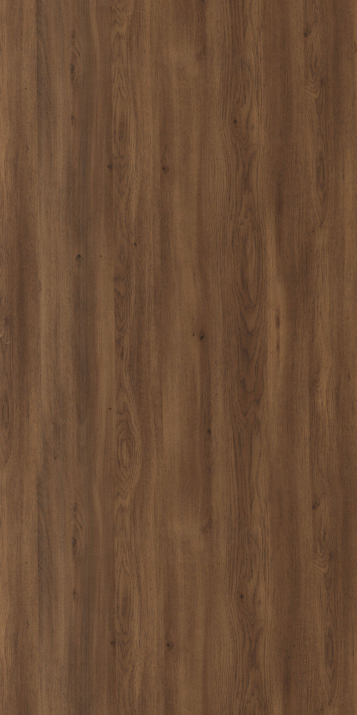 PRECOTT WALNUT
