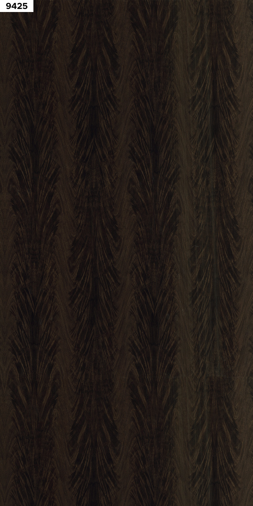 WOODY DARK