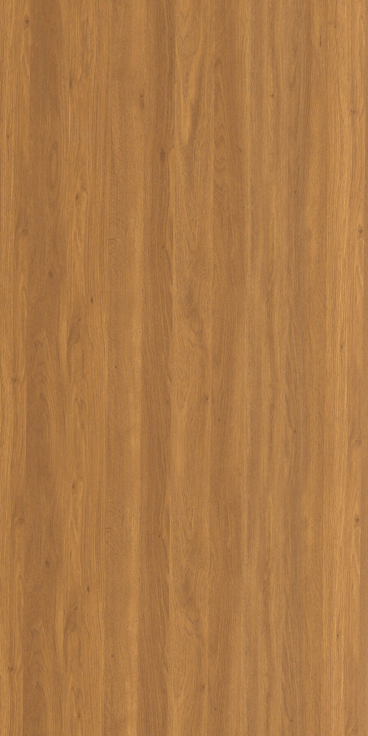 CANAC MAPLE