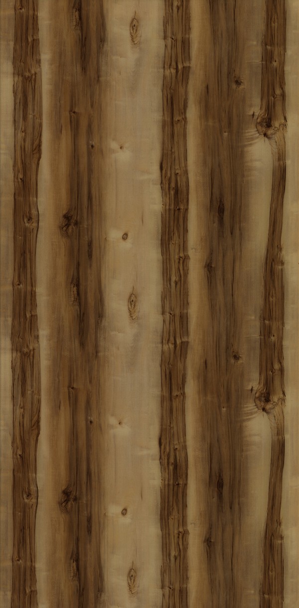 OLIVE ASH